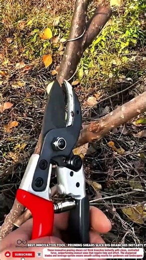 Best Innovative Tool: Pruning Shears Slice Big Branches Instantly