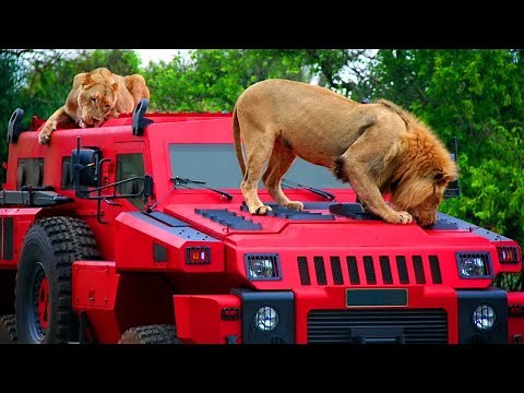 Top 10 Vehículos A Prueba De ZOMBIES