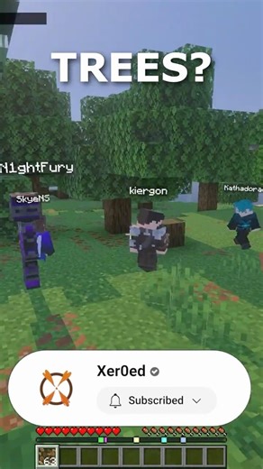 The First Thing We Did Was Punch Trees #minecraft #smp #shorts