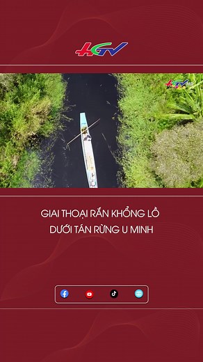 Huyền Thoại Rắn Khổng Lồ Ở U Minh Hạ