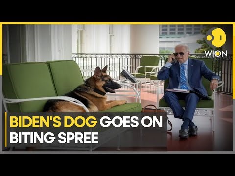 US President Joe Biden's German Shepherd 'Commander' bites 10 times in 4 months | World News | WION