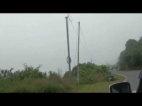 Road view at Meghalaya #travel #meghalaya