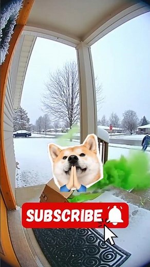 Top 5 Porch Pirates Who Stole the WRONG Package 💙❤️💚 (Instant Karma)