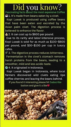 “$600 Coffee Made From Poop?! ☕💩 | Kopi Luwak Facts”