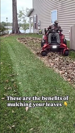 Here’s the benefit of mulching your leaves 🍂 #lawncare #startingalawncarebusiness #lawncarebusiness