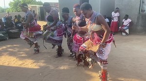 Traditional Dance Performance in Vibrant Attire