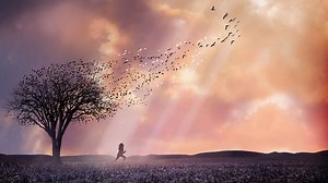 The Lovely Bones 2009 Full movie online MyFlixer