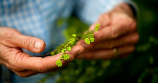 The Legacy Club | The Nature Conservancy