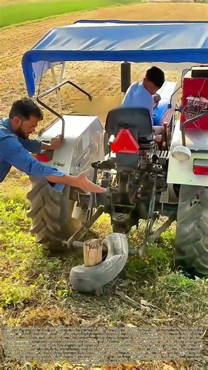 Pulling Tree Stumps: How Improvised Tractor Setups Fail When Tools Slip Mid-Extraction