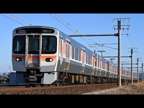 JR東海315系3000番台(C103+C123)新快速豊橋行き 東海道本線木曽川〜岐阜