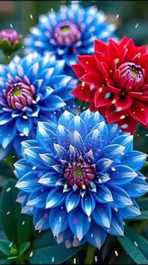 #నా నీతి సూర్యుడు యేసయ్యా ##jesussong #song may God bless you 🙌 to all