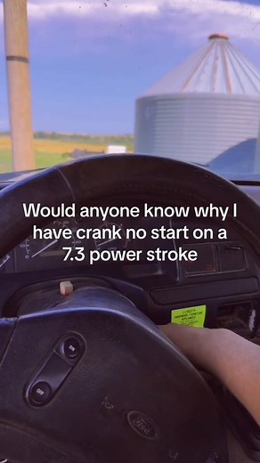 190K views · 952 reactions | 樂樂樂 #AlligatorPerformance #AlligatorNation #DieselTrucks #TruckLife #DieselPower #DieselPerformance #TruckDaily #DieselLife TT:  @cowboy_life23 | Alligator Performance | Facebook