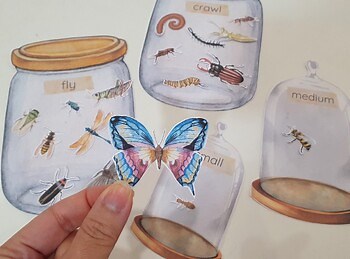 Insect Jar Sorting Games, Insect Size Match, Flying or Crawling Bug