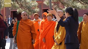 35K views · 103 reactions | Leaders and monks from 12 countries,...
