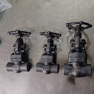 [Hot Item] 1/2"-2" 800# Forged Steel A105 Socket Weld OS&Y Globe Valve