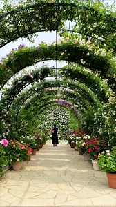 125K views · 1K reactions | 花のステージは、ふじのはな物語からローズガーデンへ 500種2500株の華やかなバラが園内を彩ります。 | あしかがフラワーパーク/Ashikaga Flower Park | Facebook