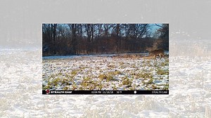 2.9K views · 48 reactions | Check out why the guys of Small Town Hunting love the new Stealth Cam Fusion. . Have you gotten yours yet?! What's your favorite feature? Order yours today; https://bit.ly/2N4vFzm | Stealth Cam | Facebook