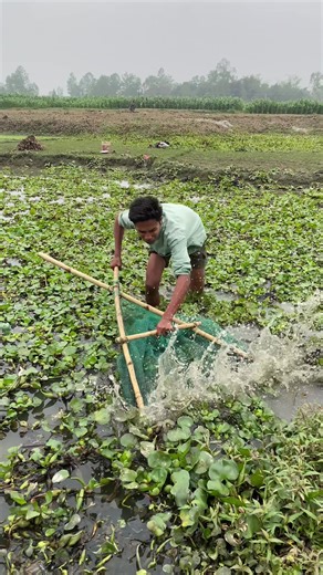 Exploring the Thrills of Fishing Life and Fitness
