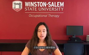 OT 感统测试 SIPT 字幕版