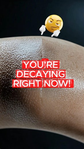 Human decomposition doesn’t start after death