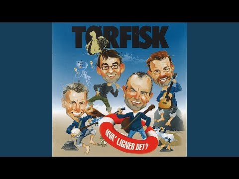 Fuglene Letter Mod Vinden