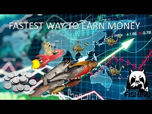 Russian Fishing 4 What to buy ? Where to fish ? Fastest way to earn money Beginner guide