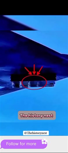 Best fertilizer hack #historyeditz #fyp #viral #viralvideo #amazingfacts #1000k #interestingfacts #foryoupage #100k #millionviews