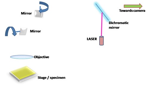 激光共聚焦显微镜的原理