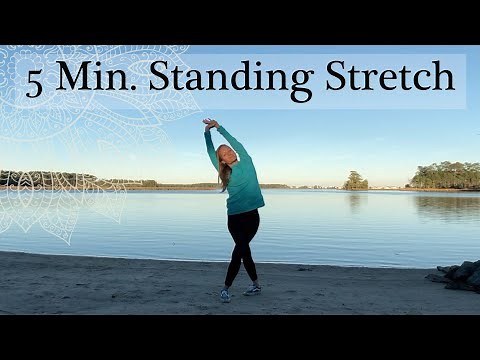 5 MINUTE STANDING YOGA STRETCH - No Mat Gentle Yoga