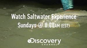 Watch Saltwater Experience Sunday’s at 8am on @discovery 📺✅ | Saltwater Experience