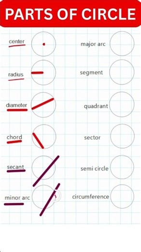 parts of circle # #maths