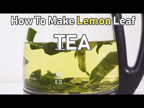 How To Make Lemon Leaf Tea ( I Grew My Own! )