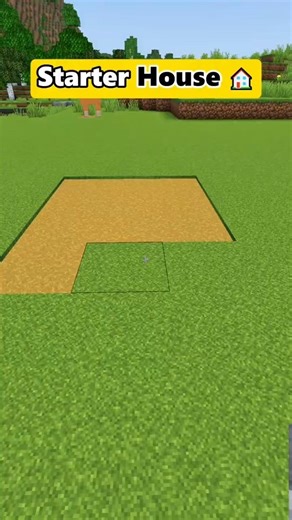 Minecraft Starter House 💀