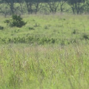 1.9K views · 92 reactions | Our kind of action! Watch the full stand: https://youtu.be/RDfceLqzpTU | FOXPRO Inc. | Facebook