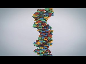 What are DNA & Genes?