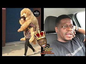 Shuler King - For The Dog Lovers!!!