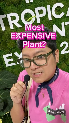 5.7K views · 2.1K reactions | Can we buy the most expensive plant at...