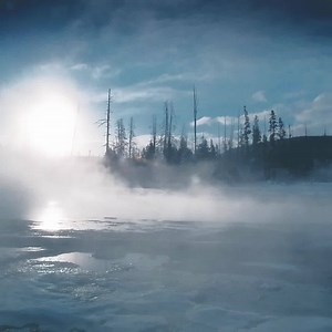 National Geographic TV on Reels