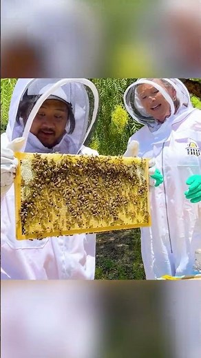 Fun Bee Chase with Kaden and Uncle Sam