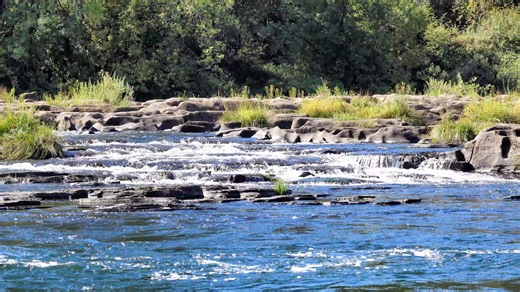 River, Stream, Water. Free Stock Video