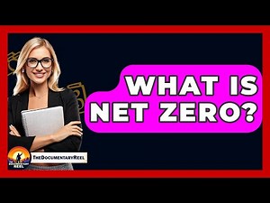 What Is Net Zero? - The Documentary Reel