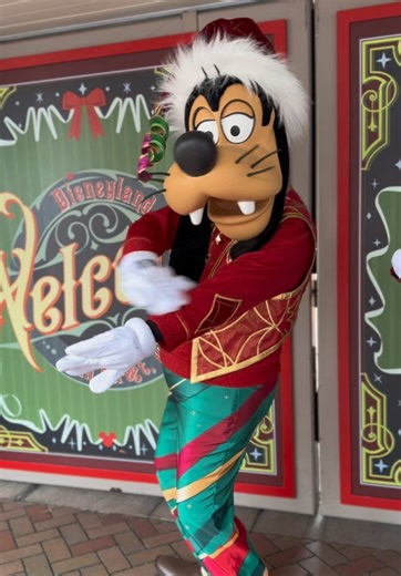 ✨Goofy in his brand-new Christmas outfit has me absolutely screaming 😭🎄 He is SO stinkin’ adorable this year! Disneyland Christmas magic is undefeated!✨ #Disney #Disneyland #DisneyParks #Goofy #ChristmasMagic