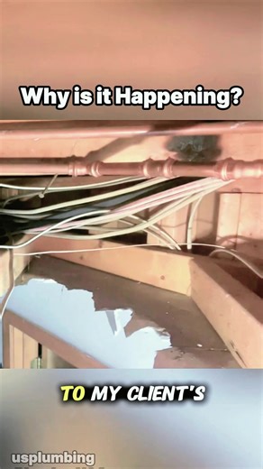 I found 2 month old propress fitting leaking #plumber #fyp #plumbing #learnontiktok