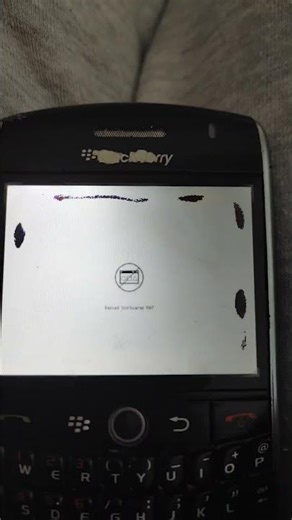 reload software on BlackBerry 8900