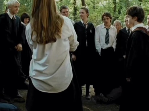 Humorous Harry Potter Moments: Hermione and Draco