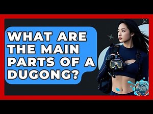 What Are The Main Parts Of A Dugong? - The Marine Life Explorer