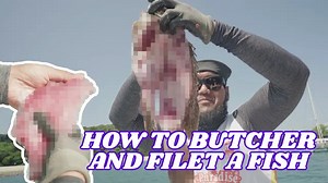 How to butcher and filet a fish