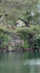 Snyder park😍 #discgolf #discraft #golf #frisbeesport