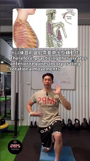 前鋸肌的退階訓練 #imps動作優化提升運動表現系列課程