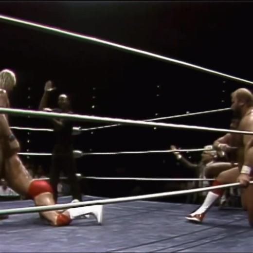 Barry Windham turns on Lex Luger as Arn Anderson and Tully Blanchard become new World Tag Team Champions on World Championship Wrestling (4/23/88) Barry Windham becoming one of the four horsemen was one of the highlights of his career his run with the horseman was one of the best ever! | Ant Mcmahon